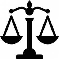 Living Trust Professional Legal Forms Software